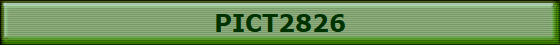 PICT2826
