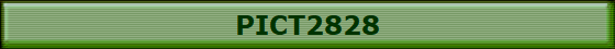 PICT2828