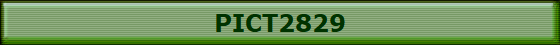 PICT2829