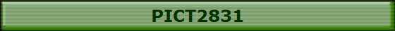 PICT2831