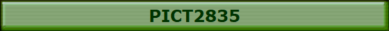 PICT2835