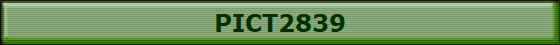 PICT2839