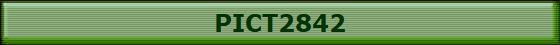 PICT2842